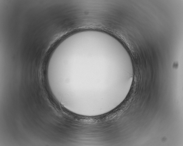 X0000116620688201001221340