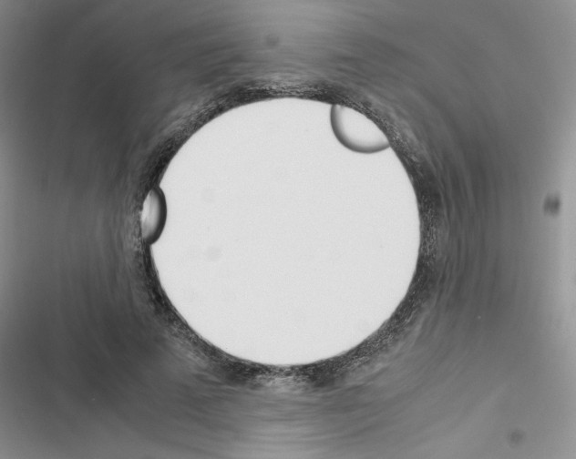 X0000116620689201001221340