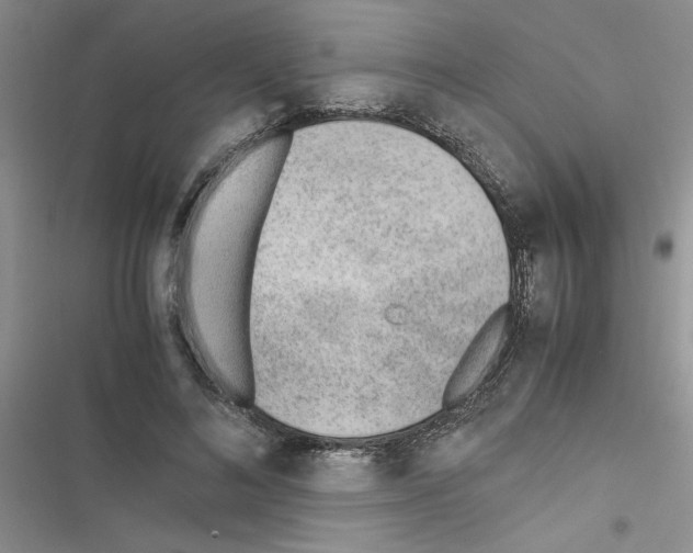 X0000116620692201001221340