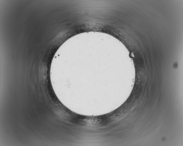 X0000116620693201001221340