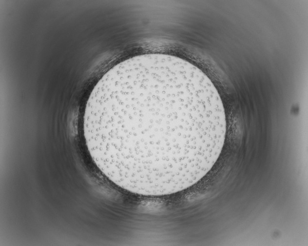 X0000116620694201001221340