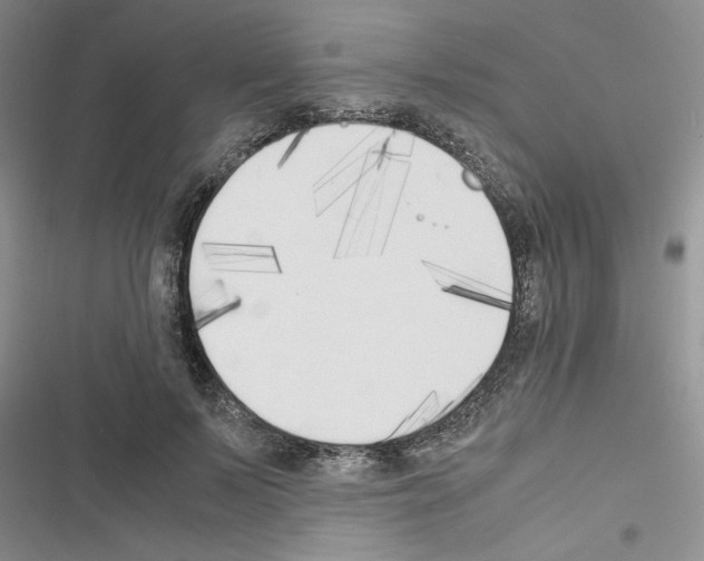 X0000116620695201001221340