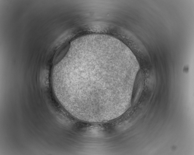 X0000116620696201001221340