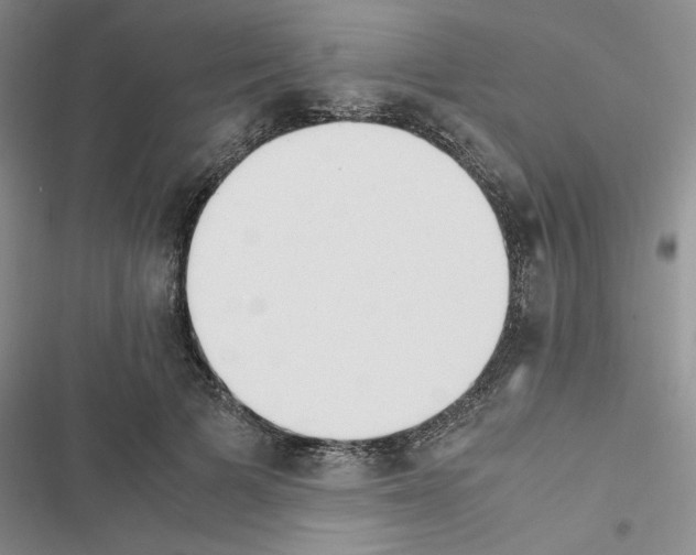 X0000116620697201001221340