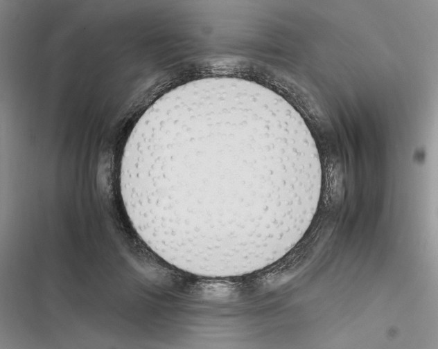X0000116620698201001221340