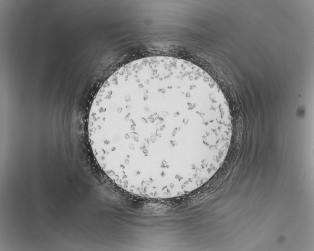 X0000116620699201001221340