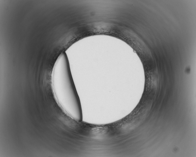 X0000116620700201001221340
