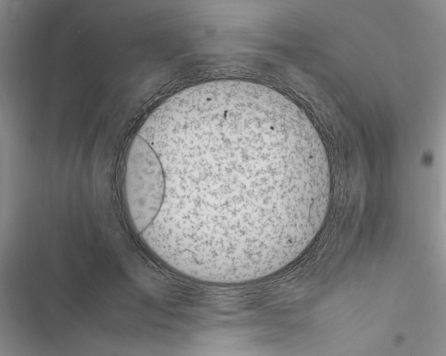 X0000116620701201001221340