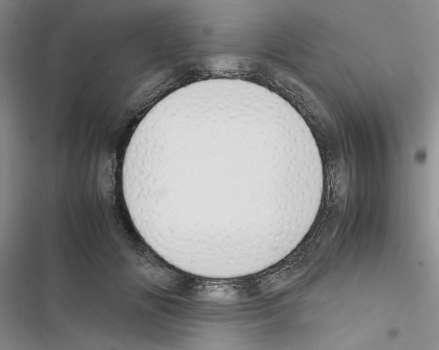X0000116620702201001221340