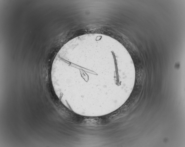 X0000116620703201001221340