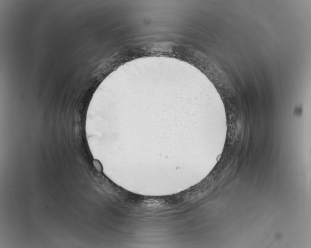 X0000116620704201001221340