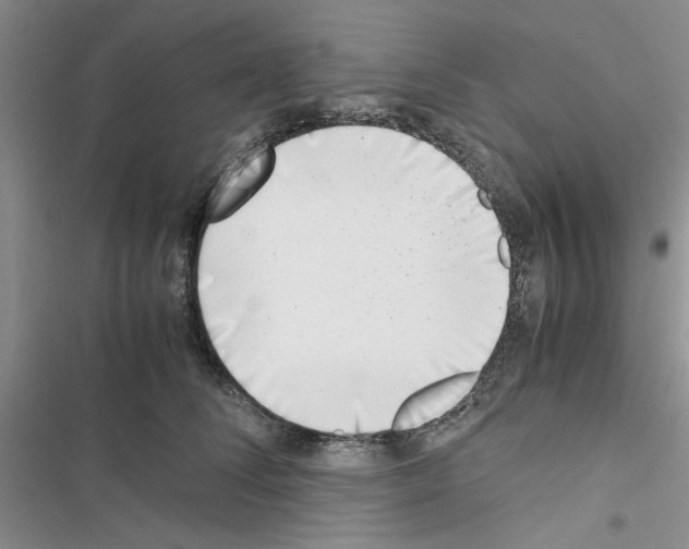 X0000116620708201001221340