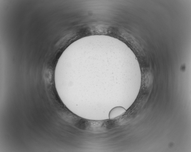 X0000116620709201001221340