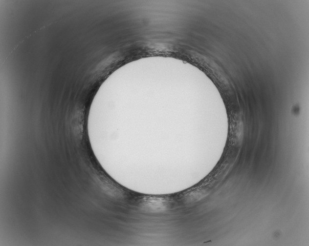 X0000116620710201001221340
