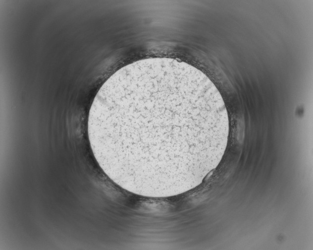 X0000116620712201001221340