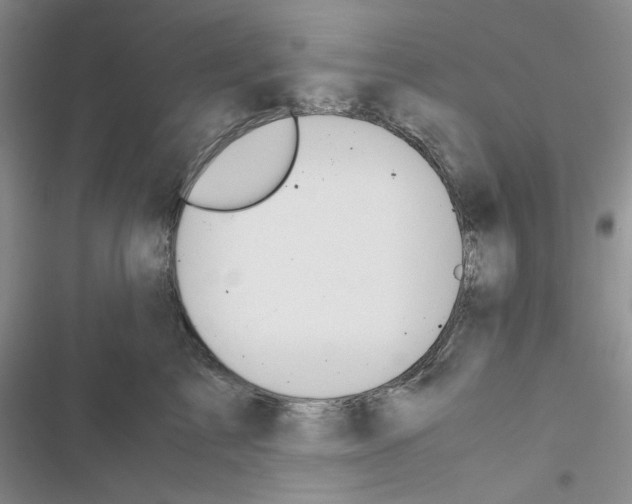X0000116620713201001221340