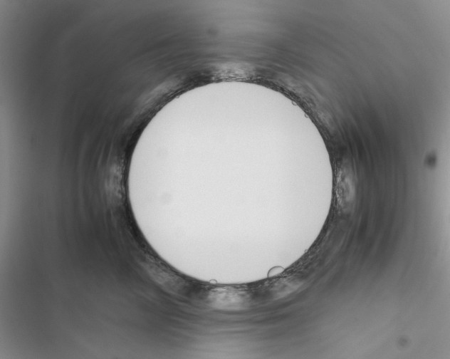 X0000116620714201001221340