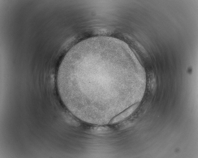 X0000116620716201001221340