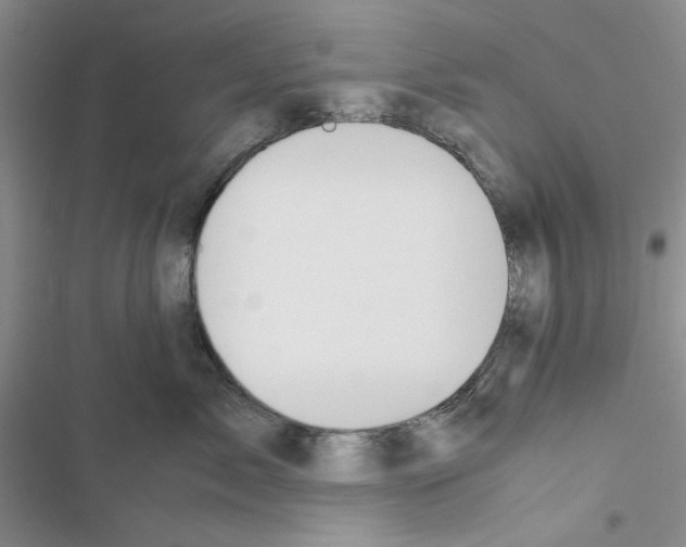 X0000116620717201001221340