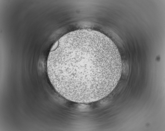 X0000116620718201001221340
