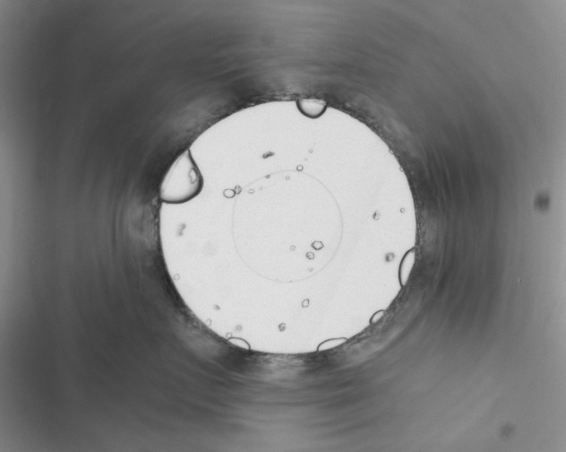 X0000116620719201001221340