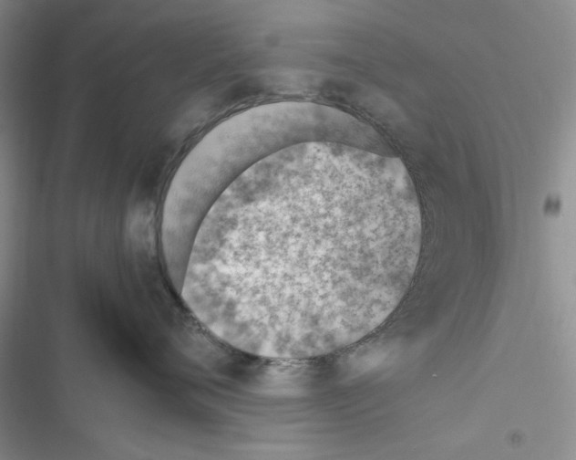 X0000116620720201001221340