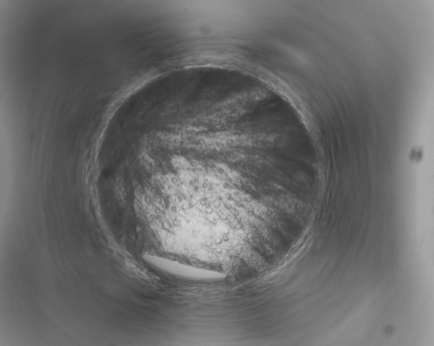 X0000116620721201001221339