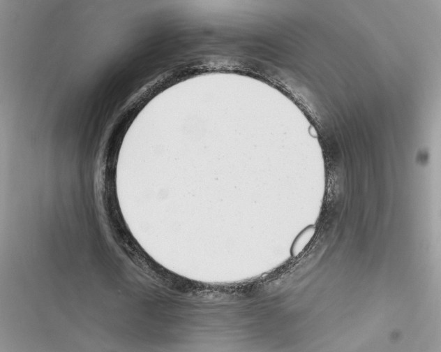 X0000116620722201001221339