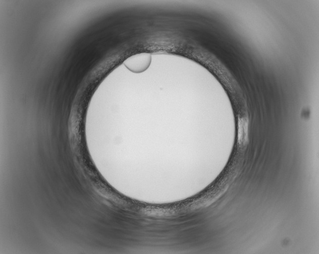 X0000116620723201001221339