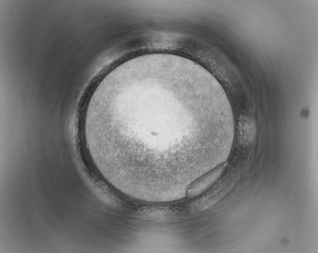 X0000116620726201001221339