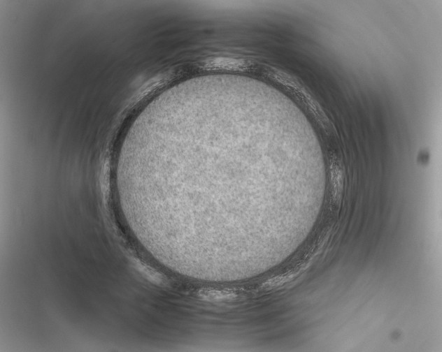 X0000116620729201001221339