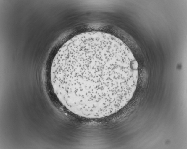 X0000116620734201001221339