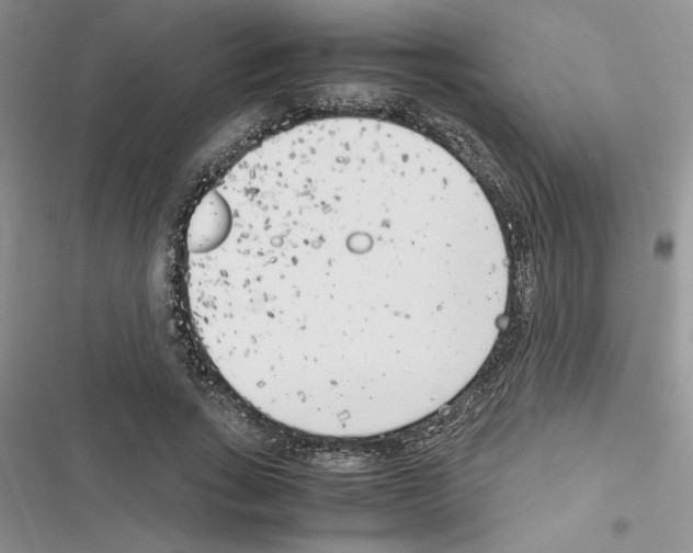 X0000116620735201001221339