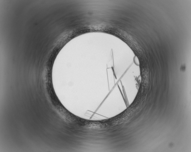 X0000116620738201001221339
