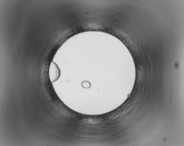 X0000116620739201001221339