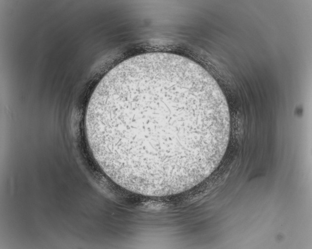X0000116620742201001221339