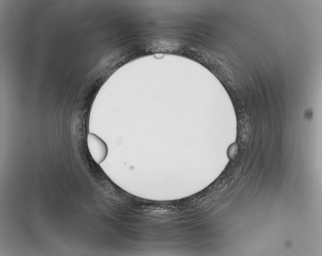 X0000116620743201001221339