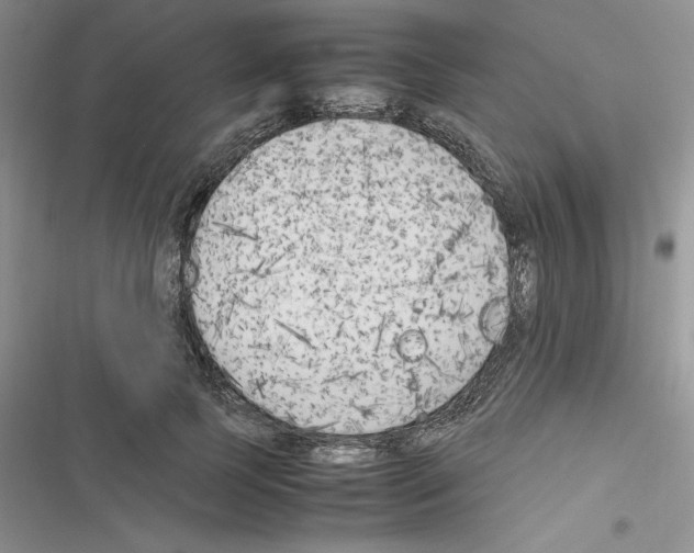 X0000116620745201001221339