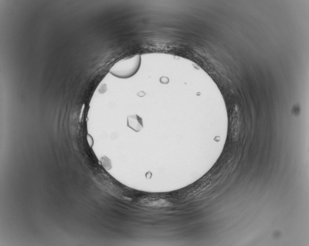 X0000116620747201001221339