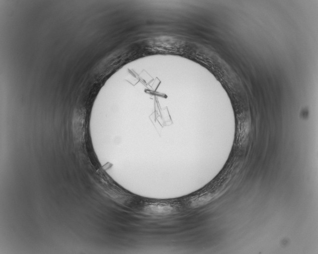 X0000116620749201001221339
