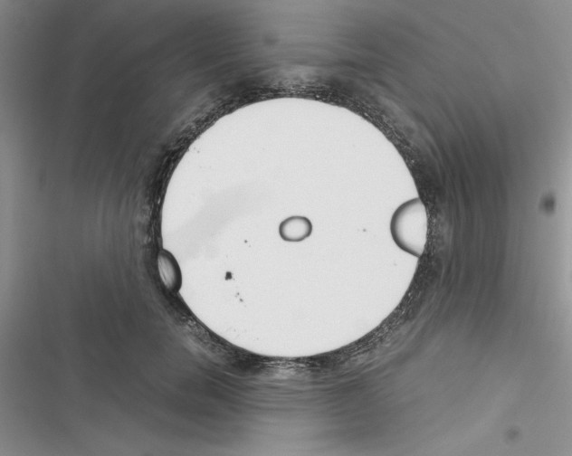X0000116620750201001221339