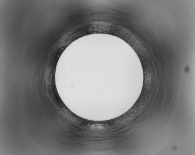 X0000116620751201001221339