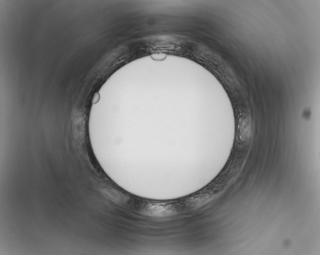 X0000116620753201001221339