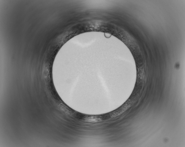 X0000116620754201001221339