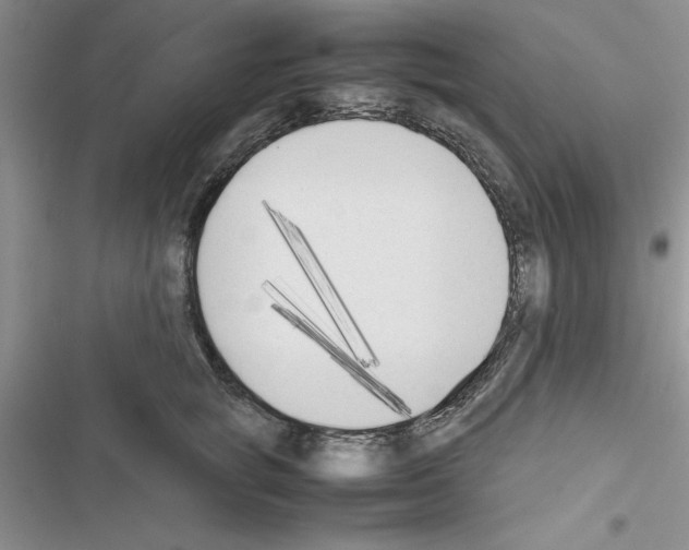 X0000116620757201001221339