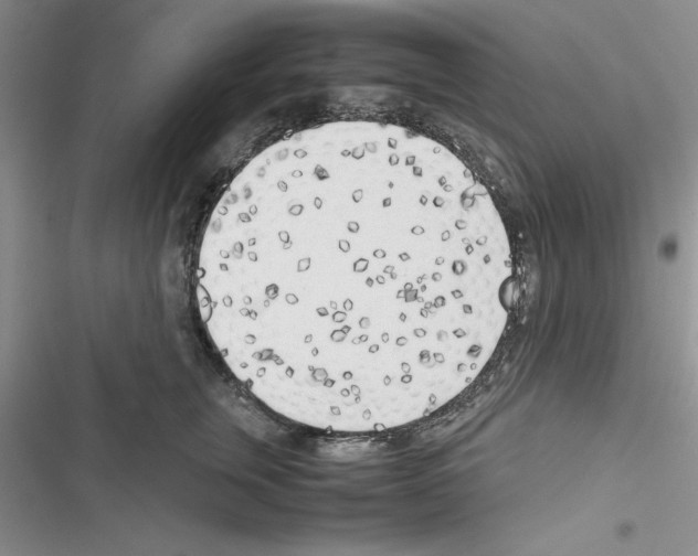 X0000116620759201001221339
