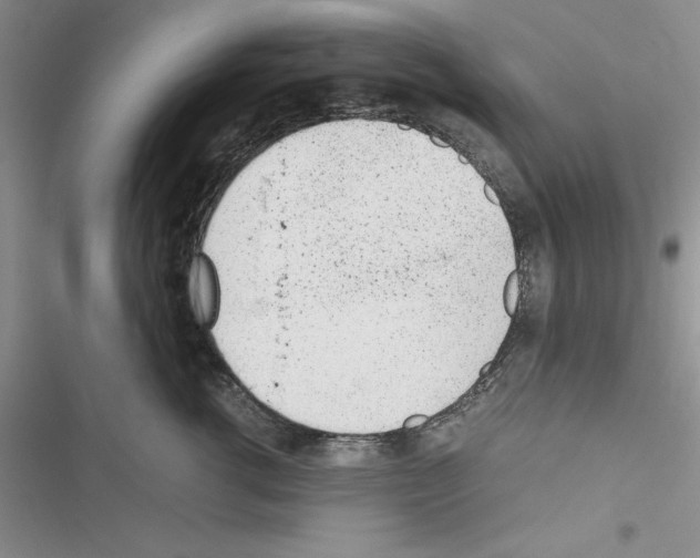 X0000116620762201001221339