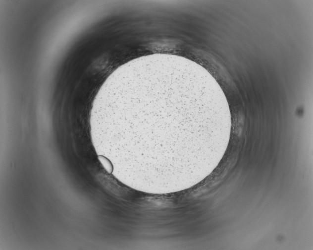 X0000116620763201001221340