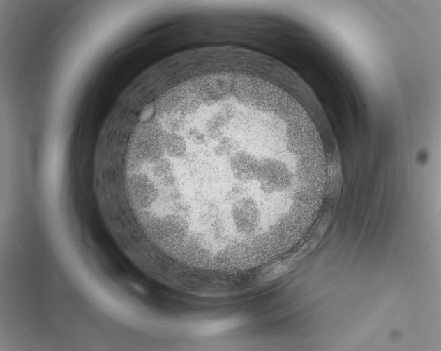 X0000116620765201001221340
