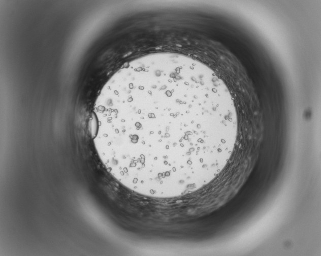 X0000116620766201001221340